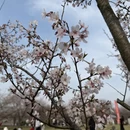 上海旅游 缩略图 8
