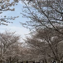 上海旅游 缩略图 10