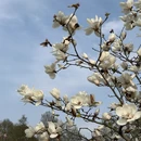 上海旅游 缩略图 5