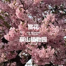 上海旅游 缩略图 1