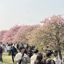 上海旅游 缩略图 2