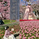 上海旅游 缩略图 1