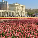 上海旅游 缩略图 1