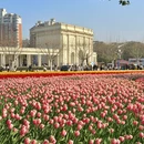 上海旅游 缩略图 9