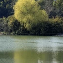 上海旅游 缩略图 10