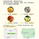 上海旅游 缩略图 4