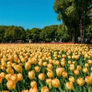 上海旅游 缩略图 3