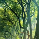 上海旅游 缩略图 4