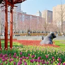 上海旅游 缩略图 8