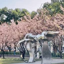 上海旅游 缩略图 12