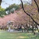 上海旅游 缩略图 13