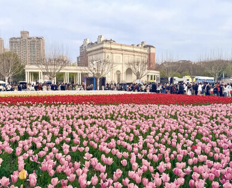 上海旅游 1