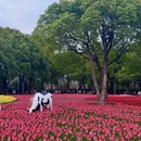 上海旅游 缩略图 4