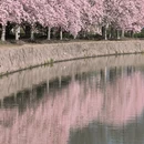 上海旅游 缩略图 4