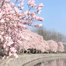 上海旅游 缩略图 10