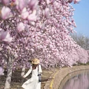 上海旅游 缩略图 15