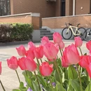 上海旅游 缩略图 4