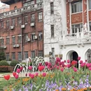 上海旅游 缩略图 10