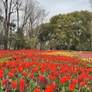 上海旅游 缩略图 8