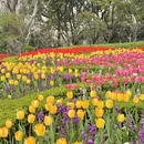 上海旅游 缩略图 7