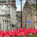 上海旅游 缩略图 4