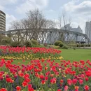 上海旅游 缩略图 9