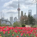 上海旅游 缩略图 13