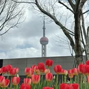 上海旅游 缩略图 15