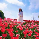 上海旅游 缩略图 2