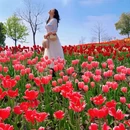上海旅游 缩略图 4