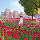 上海旅游 缩略图 8