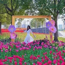 上海旅游 缩略图 7