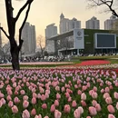 上海旅游 缩略图 1