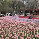 上海旅游 缩略图 9