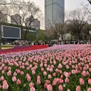 上海旅游 缩略图 10