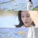 上海旅游 缩略图 7