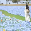 上海旅游 缩略图 8