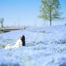 上海旅游 缩略图 10
