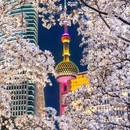 上海旅游 缩略图 3