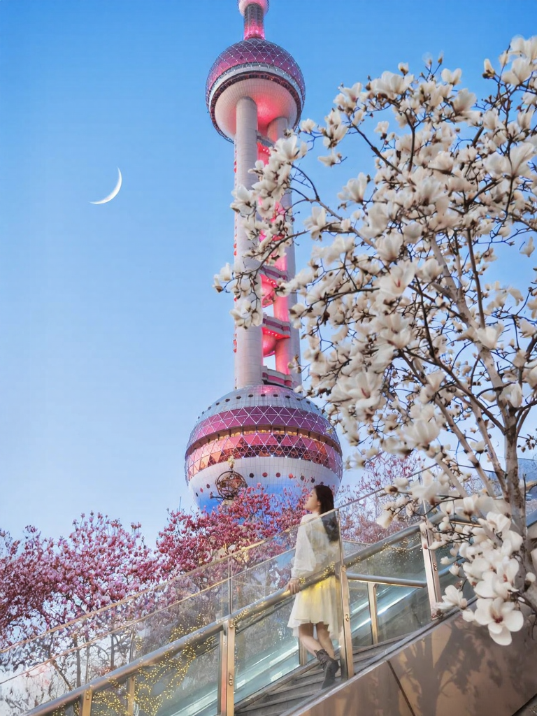 上海旅游