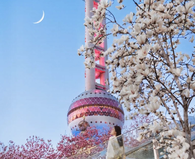 上海旅游 1