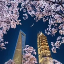 上海旅游 缩略图 2