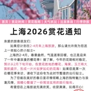 上海旅游 缩略图 1