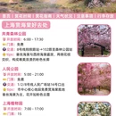 上海旅游 缩略图 6