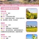 上海旅游 缩略图 5