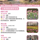 上海旅游 缩略图 8