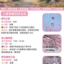 上海旅游 缩略图 4