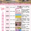 上海旅游 缩略图 2