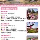 上海旅游 缩略图 7
