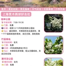上海旅游 缩略图 10